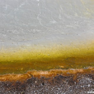 Yellowstone-Nationalpark. Sunset Lake im Black Sand Basin. - Black Sand Basin, Sunset Lake, Regenbogen - (Three River Junction, Yellowstone National Park, Wyoming, Vereinigte Staaten)