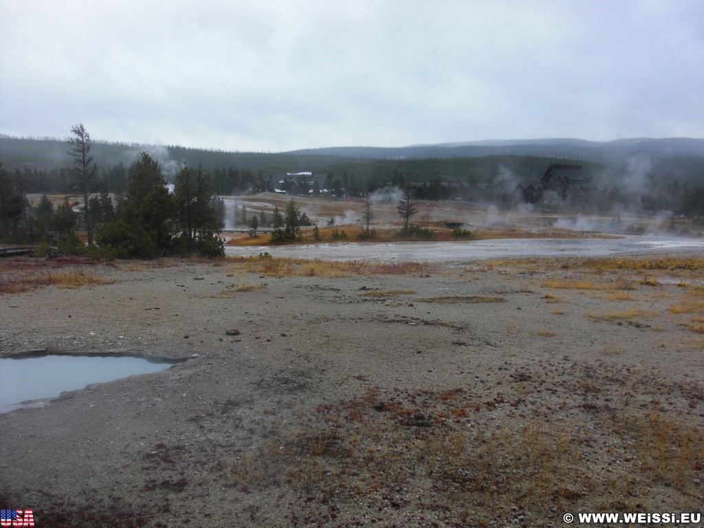 Yellowstone-Nationalpark. Old Faithful Area - South Section. - Upper Geyser Basin, Old Faithful Area, South Section, Upper Geyser Basin South Section, Geyser Hill, Lion Geyser, Lion Geyser Group - (Three River Junction, Yellowstone National Park, Wyoming, Vereinigte Staaten)