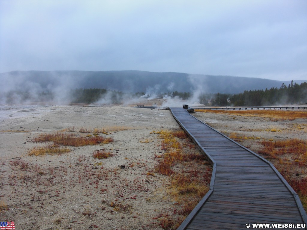 Yellowstone-Nationalpark. Old Faithful Area - South Section. - Upper Geyser Basin, Old Faithful Area, South Section, Upper Geyser Basin South Section, Geyser Hill, Lion Geyser, Lion Geyser Group - (Three River Junction, Yellowstone National Park, Wyoming, Vereinigte Staaten)