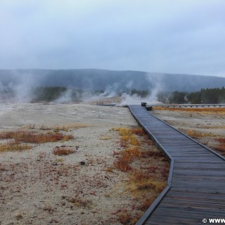 Yellowstone-Nationalpark. Old Faithful Area - South Section. - Upper Geyser Basin, Old Faithful Area, South Section, Upper Geyser Basin South Section, Geyser Hill, Lion Geyser, Lion Geyser Group - (Three River Junction, Yellowstone National Park, Wyoming, Vereinigte Staaten)