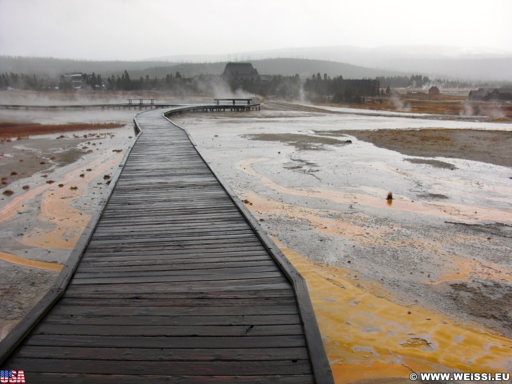 Yellowstone-Nationalpark. Old Faithful Area - South Section. - Upper Geyser Basin, Old Faithful Area, South Section, Upper Geyser Basin South Section, Geyser Hill, Lion Geyser, Lion Geyser Group - (Three River Junction, Yellowstone National Park, Wyoming, Vereinigte Staaten)