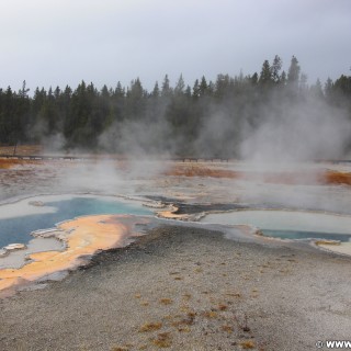 Yellowstone-Nationalpark. Doublet Pool in der Old Faithful Area - South Section. - Thermalquelle, Upper Geyser Basin, Old Faithful Area, South Section, Upper Geyser Basin South Section, Geyser Hill, Lion Geyser, Lion Geyser Group, Doublet Pool - (Three River Junction, Yellowstone National Park, Wyoming, Vereinigte Staaten)