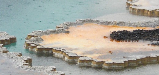 Yellowstone-Nationalpark. Doublet Pool in der Old Faithful Area - South Section. - Thermalquelle, Upper Geyser Basin, Old Faithful Area, South Section, Upper Geyser Basin South Section, Geyser Hill, Lion Geyser, Lion Geyser Group, Doublet Pool - (Three River Junction, Yellowstone National Park, Wyoming, Vereinigte Staaten)