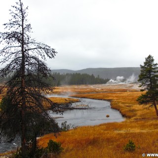 Yellowstone-Nationalpark. Firehole River, Old Faithful Area - South Section. - Upper Geyser Basin, Firehole River, Old Faithful Area, South Section, Upper Geyser Basin South Section - (Three River Junction, Yellowstone National Park, Wyoming, Vereinigte Staaten)