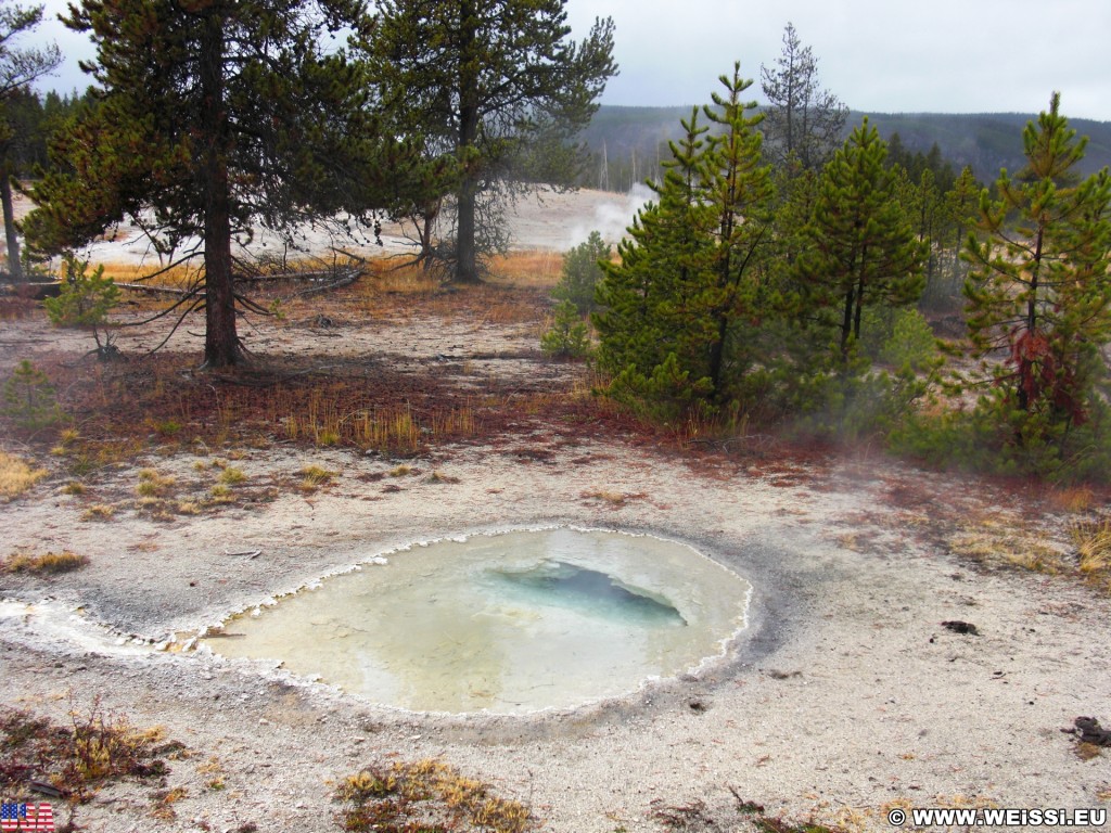 Yellowstone-Nationalpark. UNNG-CGG-6, Unbenannte Quelle 10 Meter südwestlich vom Rubber Pool, Old Faithful Area - South Section. - Thermalquelle, Upper Geyser Basin, Old Faithful Area, South Section, Upper Geyser Basin South Section, Sawmill Group, Unbenannte Quelle, UNNG-CGG-6 - (Three River Junction, Yellowstone National Park, Wyoming, Vereinigte Staaten)