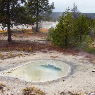 Yellowstone-Nationalpark. UNNG-CGG-6, Unbenannte Quelle 10 Meter südwestlich vom Rubber Pool, Old Faithful Area - South Section. - Thermalquelle, Upper Geyser Basin, Old Faithful Area, South Section, Upper Geyser Basin South Section, Sawmill Group, Unbenannte Quelle, UNNG-CGG-6 - (Three River Junction, Yellowstone National Park, Wyoming, Vereinigte Staaten)