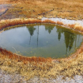 Yellowstone-Nationalpark. Rubber Pool, Old Faithful Area - South Section. - Thermalquelle, Upper Geyser Basin, Old Faithful Area, South Section, Upper Geyser Basin South Section, Sawmill Group, Unbenannte Quelle, UNNG-CGG-6, Rubber Pool - (Three River Junction, Yellowstone National Park, Wyoming, Vereinigte Staaten)