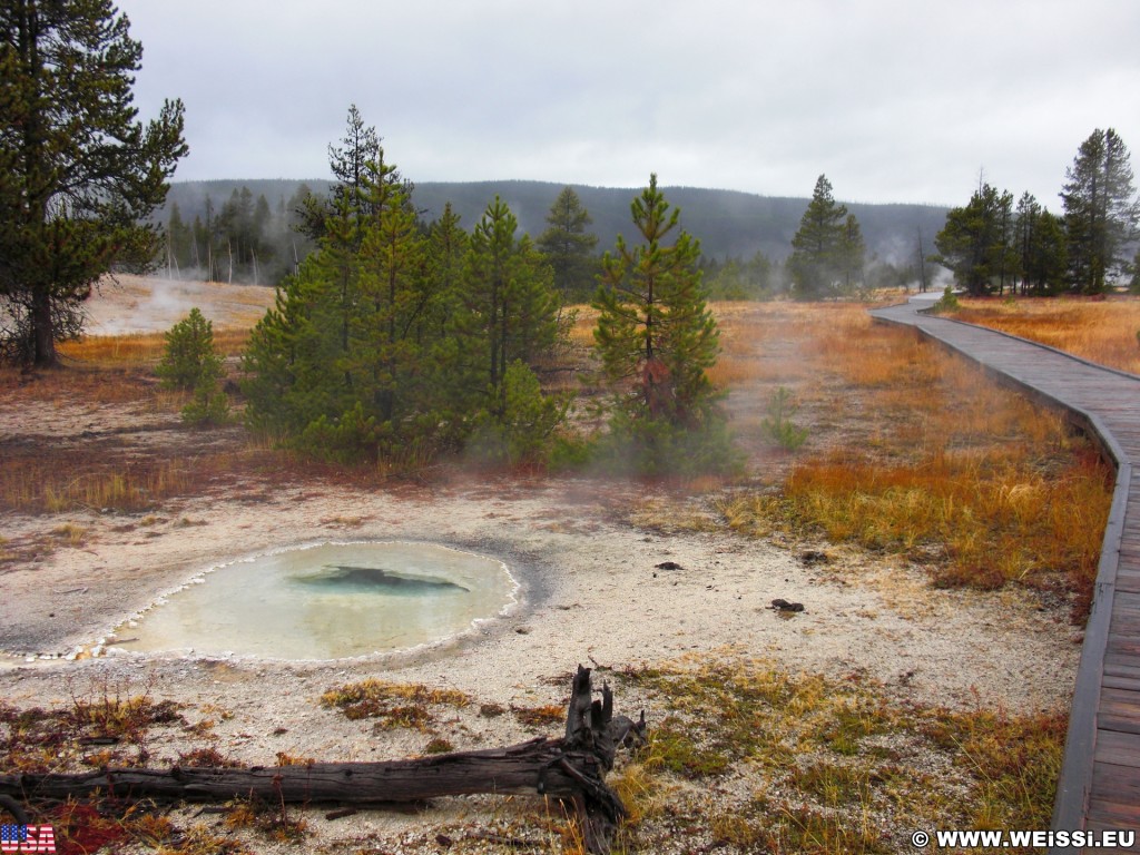 Yellowstone-Nationalpark. UNNG-CGG-6, Unbenannte Quelle 10 Meter südwestlich vom Rubber Pool, Old Faithful Area - South Section. - Thermalquelle, Upper Geyser Basin, Old Faithful Area, South Section, Upper Geyser Basin South Section, Sawmill Group, Unbenannte Quelle, UNNG-CGG-6 - (Three River Junction, Yellowstone National Park, Wyoming, Vereinigte Staaten)
