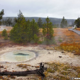 Yellowstone-Nationalpark. UNNG-CGG-6, Unbenannte Quelle 10 Meter südwestlich vom Rubber Pool, Old Faithful Area - South Section. - Thermalquelle, Upper Geyser Basin, Old Faithful Area, South Section, Upper Geyser Basin South Section, Sawmill Group, Unbenannte Quelle, UNNG-CGG-6 - (Three River Junction, Yellowstone National Park, Wyoming, Vereinigte Staaten)
