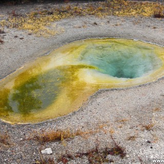 Yellowstone-Nationalpark. Belgian Pool, Grand Group, Old Faithful Area - South Section. - Thermalquelle, Upper Geyser Basin, Old Faithful Area, South Section, Upper Geyser Basin South Section, Belgian Pool, Grand Group - (Three River Junction, Yellowstone National Park, Wyoming, Vereinigte Staaten)