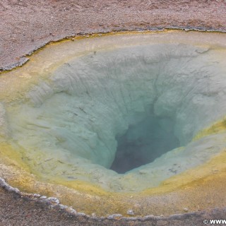 Yellowstone-Nationalpark. Belgian Pool, Grand Group, Old Faithful Area - South Section. - Thermalquelle, Upper Geyser Basin, Old Faithful Area, South Section, Upper Geyser Basin South Section, Belgian Pool, Grand Group - (Three River Junction, Yellowstone National Park, Wyoming, Vereinigte Staaten)