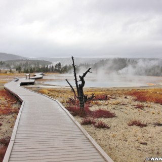 Yellowstone-Nationalpark. Beauty Pool in der Old Faithful Area - North Section. - Thermalquelle, Upper Geyser Basin, Old Faithful Area, South Section, Upper Geyser Basin South Section, Grand Group, Beauty Pool - (Three River Junction, Yellowstone National Park, Wyoming, Vereinigte Staaten)