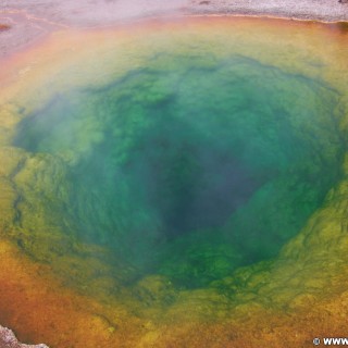 Yellowstone-Nationalpark. Morning Glory Pool in der Old Faithful Area - North Section. - Thermalquelle, Upper Geyser Basin, Old Faithful Area, North Section, Upper Geyser Basin North Section, Morning Glory Group, Morning Glory Pool - (Three River Junction, Yellowstone National Park, Wyoming, Vereinigte Staaten)