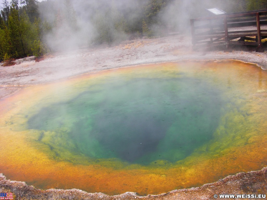 Yellowstone-Nationalpark. Morning Glory Pool in der Old Faithful Area - North Section. - Thermalquelle, Upper Geyser Basin, Old Faithful Area, North Section, Upper Geyser Basin North Section, Morning Glory Group, Morning Glory Pool - (Three River Junction, Yellowstone National Park, Wyoming, Vereinigte Staaten)