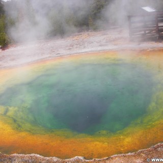 Yellowstone-Nationalpark. Morning Glory Pool in der Old Faithful Area - North Section. - Thermalquelle, Upper Geyser Basin, Old Faithful Area, North Section, Upper Geyser Basin North Section, Morning Glory Group, Morning Glory Pool - (Three River Junction, Yellowstone National Park, Wyoming, Vereinigte Staaten)