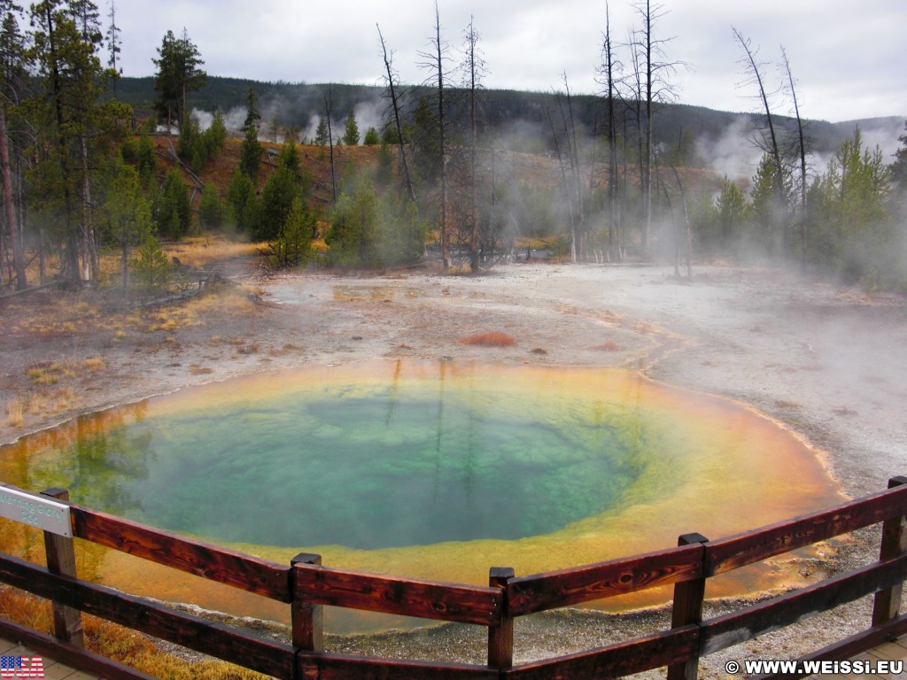 Yellowstone-Nationalpark. Morning Glory Pool in der Old Faithful Area - North Section. - Thermalquelle, Upper Geyser Basin, Old Faithful Area, North Section, Upper Geyser Basin North Section, Morning Glory Group, Morning Glory Pool - (Three River Junction, Yellowstone National Park, Wyoming, Vereinigte Staaten)