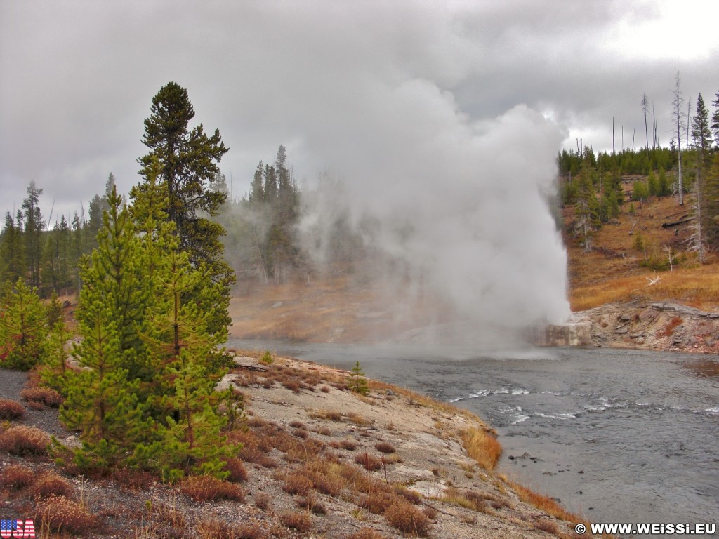 Yellowstone-Nationalpark. Riverside Geyser in der Old Faithful Area - North Section. - Upper Geyser Basin, Old Faithful Area, North Section, Upper Geyser Basin North Section, Grotto Group, Riverside Geyser - (Three River Junction, Yellowstone National Park, Wyoming, Vereinigte Staaten)