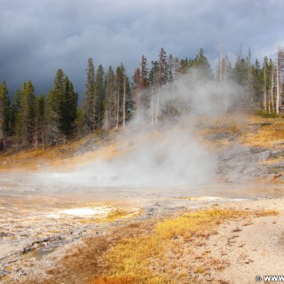 Yellowstone-Nationalpark. Grand Group in der Old Faithful Area - North Section. - Upper Geyser Basin, Old Faithful Area, Grand Group, Grand Geyser, Turban Geyser, North Section, Upper Geyser Basin North Section - (Three River Junction, Yellowstone National Park, Wyoming, Vereinigte Staaten)