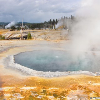 Yellowstone-Nationalpark. Crested Pool in der Old Faithful Area - South Section. - Thermalquelle, Upper Geyser Basin, Old Faithful Area, South Section, Upper Geyser Basin South Section, Castle Group, Crested Pool - (Three River Junction, Yellowstone National Park, Wyoming, Vereinigte Staaten)