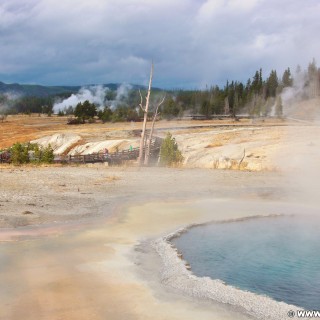 Yellowstone-Nationalpark. Crested Pool in der Old Faithful Area - South Section. - Thermalquelle, Upper Geyser Basin, Old Faithful Area, South Section, Upper Geyser Basin South Section, Castle Group, Crested Pool - (Three River Junction, Yellowstone National Park, Wyoming, Vereinigte Staaten)