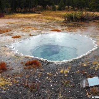 Yellowstone-Nationalpark. Shield Spring in der Old Faithful Area - South Section. - Upper Geyser Basin, Old Faithful Area, South Section, Upper Geyser Basin South Section, Castle Group, Shield Spring - (Three River Junction, Yellowstone National Park, Wyoming, Vereinigte Staaten)