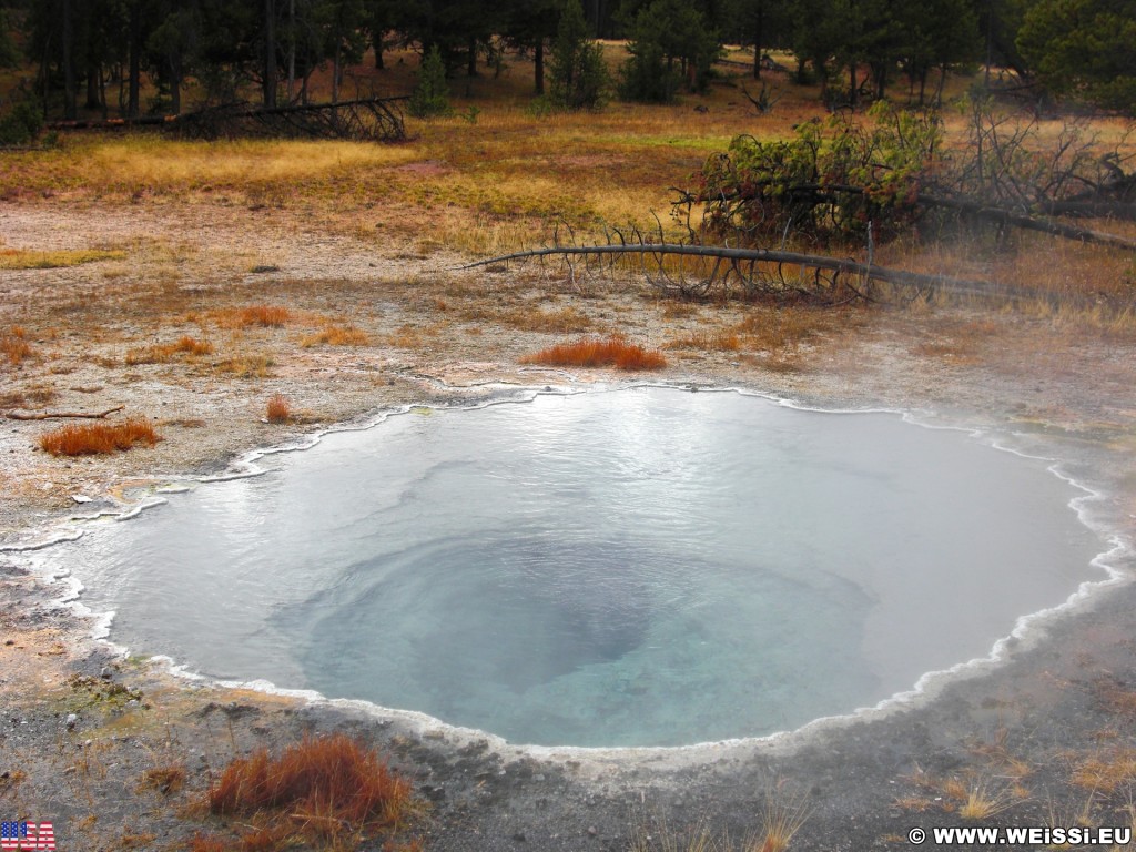 Yellowstone-Nationalpark. Shield Spring in der Old Faithful Area - South Section. - Upper Geyser Basin, Old Faithful Area, South Section, Upper Geyser Basin South Section, Castle Group, Shield Spring - (Three River Junction, Yellowstone National Park, Wyoming, Vereinigte Staaten)