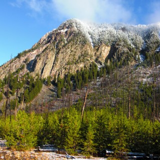 Yellowstone-Nationalpark. Mount Jackson. - Bäume, Berg, West Entrance, Mount Jackson - (Riverside, Moran, Wyoming, Vereinigte Staaten)