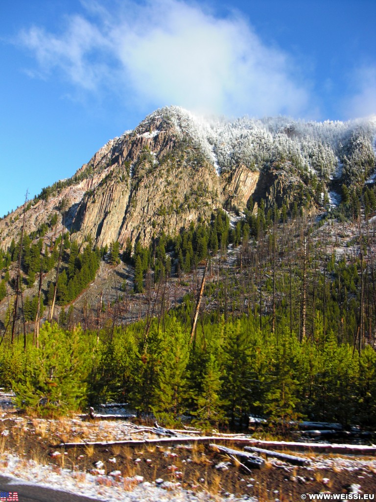 Yellowstone-Nationalpark. Mount Jackson. - Bäume, Berg, West Entrance, Mount Jackson - (Riverside, Moran, Wyoming, Vereinigte Staaten)