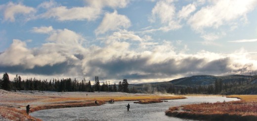 Yellowstone-Nationalpark. Fishermen am Madison River. - Fluss, Fischer, Madison River, West Entrance - (Riverside, Moran, Wyoming, Vereinigte Staaten)