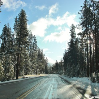 Yellowstone-Nationalpark. On the Road. - West Entrance - (Riverside, Moran, Wyoming, Vereinigte Staaten)