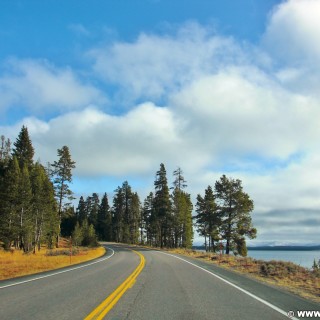 Yellowstone-Nationalpark. On the Road, Bridge Bay, Yellowstone Lake. - Bäume, Wasser, Yellowstone Lake, Bridge Bay, Grand Loop Road - (Lake, Yellowstone National Park, Wyoming, Vereinigte Staaten)