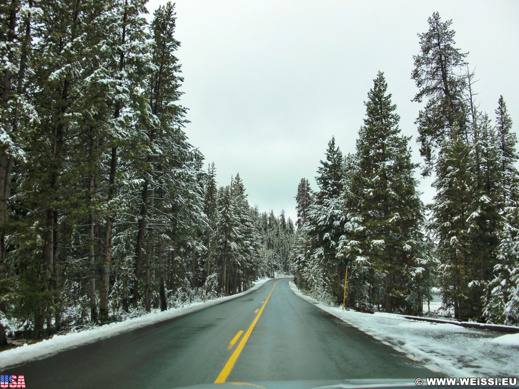 Yellowstone-Nationalpark. On the Road. - Strasse, Bäume, On the Road, Schnee - (Lake, Cody, Wyoming, Vereinigte Staaten)