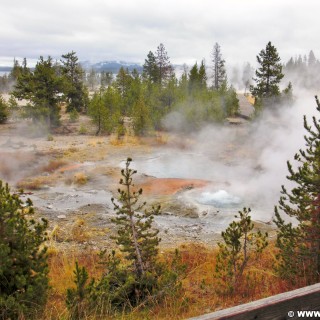 Yellowstone-Nationalpark. Twin Geyser im West Thumb Geyser Basin. - West Thumb Geyser Basin, Geyser, Twin Geyser - (West Thumb, Yellowstone National Park, Wyoming, Vereinigte Staaten)