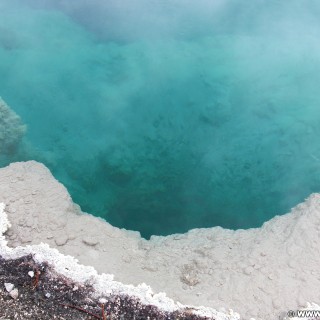 Yellowstone-Nationalpark. Black Pool im West Thumb Geyser Basin. - West Thumb Geyser Basin, Black Pool - (West Thumb, Yellowstone National Park, Wyoming, Vereinigte Staaten)