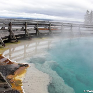 Yellowstone-Nationalpark. Black Pool im West Thumb Geyser Basin. - West Thumb Geyser Basin, Black Pool - (West Thumb, Yellowstone National Park, Wyoming, Vereinigte Staaten)