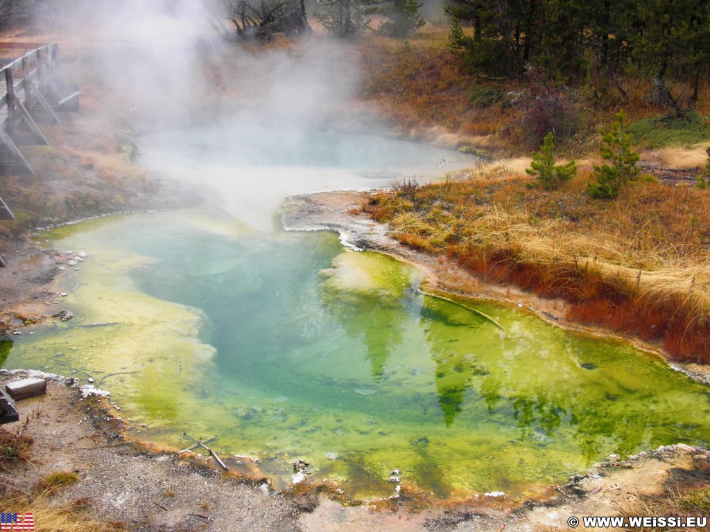 Yellowstone-Nationalpark. Seismograph und Bluebell Pool im West Thumb Geyser Basin. - West Thumb Geyser Basin, Bluebell Pool, Seismograph Pool - (West Thumb, Yellowstone National Park, Wyoming, Vereinigte Staaten)