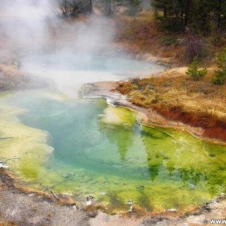 Yellowstone-Nationalpark. Seismograph und Bluebell Pool im West Thumb Geyser Basin. - West Thumb Geyser Basin, Bluebell Pool, Seismograph Pool - (West Thumb, Yellowstone National Park, Wyoming, Vereinigte Staaten)