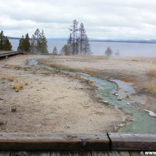 Yellowstone-Nationalpark. Ablauf vom Seismograph Poll im West Thumb Geyser Basin. - West Thumb Geyser Basin, Seismograph Pool - (West Thumb, Yellowstone National Park, Wyoming, Vereinigte Staaten)