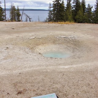 Yellowstone-Nationalpark. Percolating Spring im West Thumb Geyser Basin. - West Thumb Geyser Basin, Percolating Spring - (West Thumb, Yellowstone National Park, Wyoming, Vereinigte Staaten)