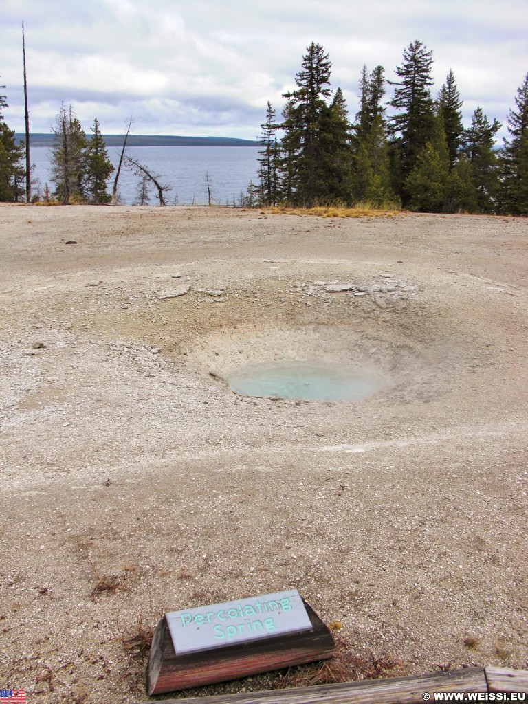 Yellowstone-Nationalpark. Percolating Spring im West Thumb Geyser Basin. - West Thumb Geyser Basin, Percolating Spring - (West Thumb, Yellowstone National Park, Wyoming, Vereinigte Staaten)