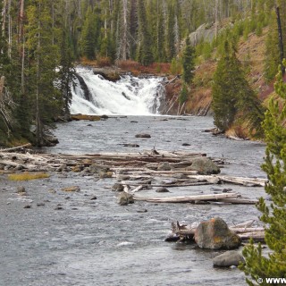 Yellowstone-Nationalpark. Luis Falls am Südeingang. - Südeingang, Wasserfall, Fluss, Wasser, Luis Falls, Luis River - (West Thumb, Moran, Wyoming, Vereinigte Staaten)