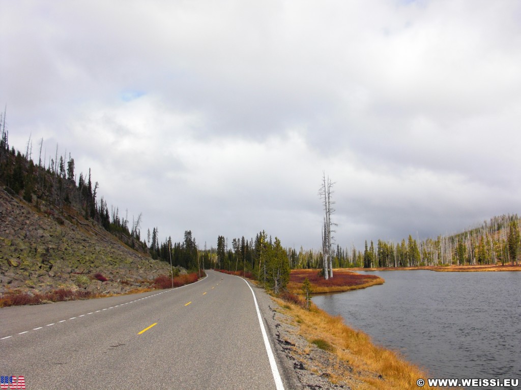 Yellowstone-Nationalpark. On the Road - Südausgang Yellowstone. - Strasse, Bäume, Fluss, Wasser, Luis River - (West Thumb, Moran, Wyoming, Vereinigte Staaten)