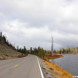 Yellowstone-Nationalpark. On the Road - Südausgang Yellowstone. - Strasse, Bäume, Fluss, Wasser, Luis River - (West Thumb, Moran, Wyoming, Vereinigte Staaten)
