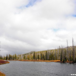 Yellowstone-Nationalpark. On the Road - Südausgang Yellowstone. - Strasse, Bäume, Fluss, Wasser, Luis River - (West Thumb, Moran, Wyoming, Vereinigte Staaten)