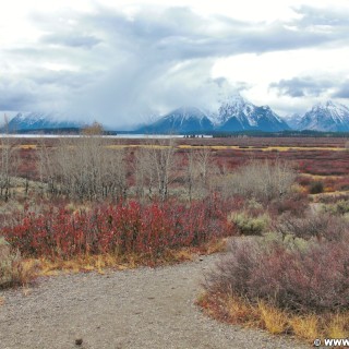 Grand-Teton-Nationalpark. Blick auf die Bergkette der Tetons vom Willow Flats Overlook aus.. - Bergkette, Tetons, Willow Flats Overlook - (Moran, Wyoming, Vereinigte Staaten)