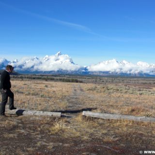 Grand-Teton-Nationalpark. Blick auch die Gebirkskette der Tetons. - Landschaft, Panorama, Baumstamm, Berg, Bergkette, Grand Teton, Grand-Teton-Nationalpark, Nationalpark, Gebirge, Gebirgskette, Holz - WEISSINGER Andreas - (Elk, Moose, Wyoming, Vereinigte Staaten)