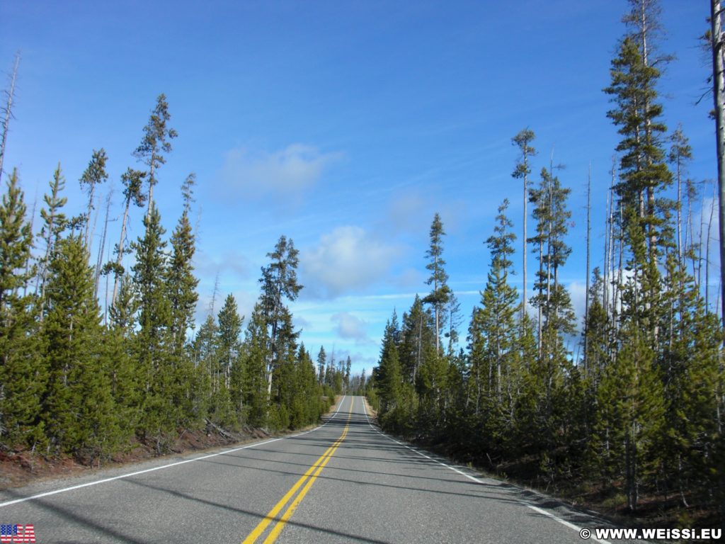 Yellowstone-Nationalpark. On the Road. - Strasse, Bäume, On the Road - (West Thumb, Moran, Wyoming, Vereinigte Staaten)