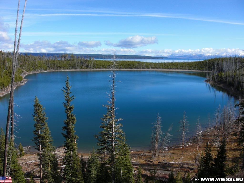 Yellowstone-Nationalpark. Duck Lake in der West Thumb Area. - See, Duck Lake, West Thumb Area - (West Thumb, Moran, Wyoming, Vereinigte Staaten)