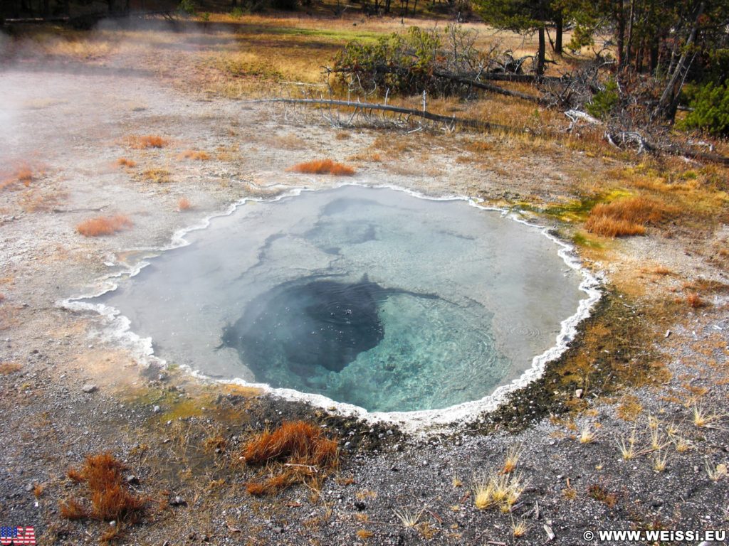 Yellowstone-Nationalpark. Shield Spring in der Old Faithful Area - Upper Geyser Basin South Section. - Old Faithful Area, Upper Geyser Basin South Section, Shield Spring - (Three River Junction, Yellowstone National Park, Wyoming, Vereinigte Staaten)