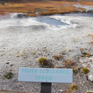 Yellowstone-Nationalpark. South Scalloped Spring in der Old Faithful Area - Upper Geyser Basin South Section. - Old Faithful Area, Upper Geyser Basin South Section, South Scalloped Spring - (Three River Junction, Yellowstone National Park, Wyoming, Vereinigte Staaten)